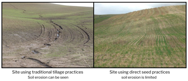 An image showing Comparison of sites in Eastern Washington that use traditional tillage and direct seed practices